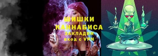 дурь Козловка