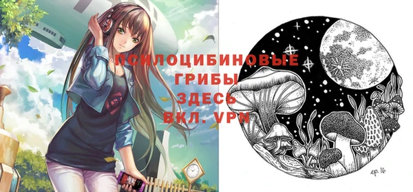 дурь Козловка