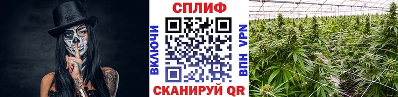 Купить закладки  Кимры  Каннабис Bruce Banner 